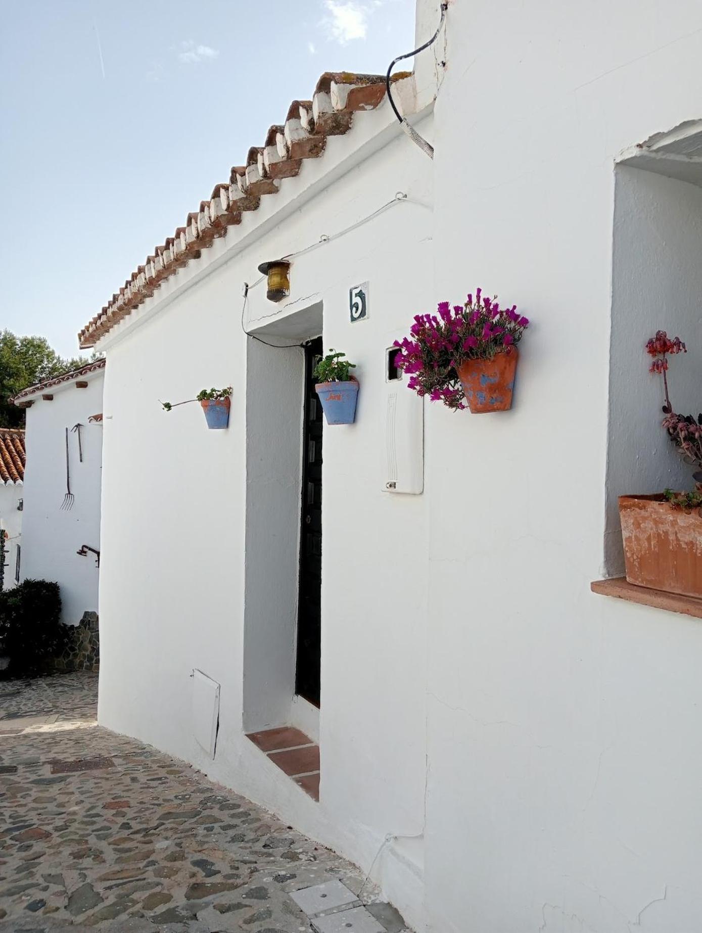 Apartamento Jardin De Mucho